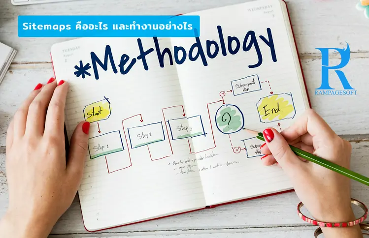 รับทําเว็บไซต์ เว็บขยายสายงาน Sitemaps คืออะไร และทำงานอย่างไร | TTT-WEBSITE 