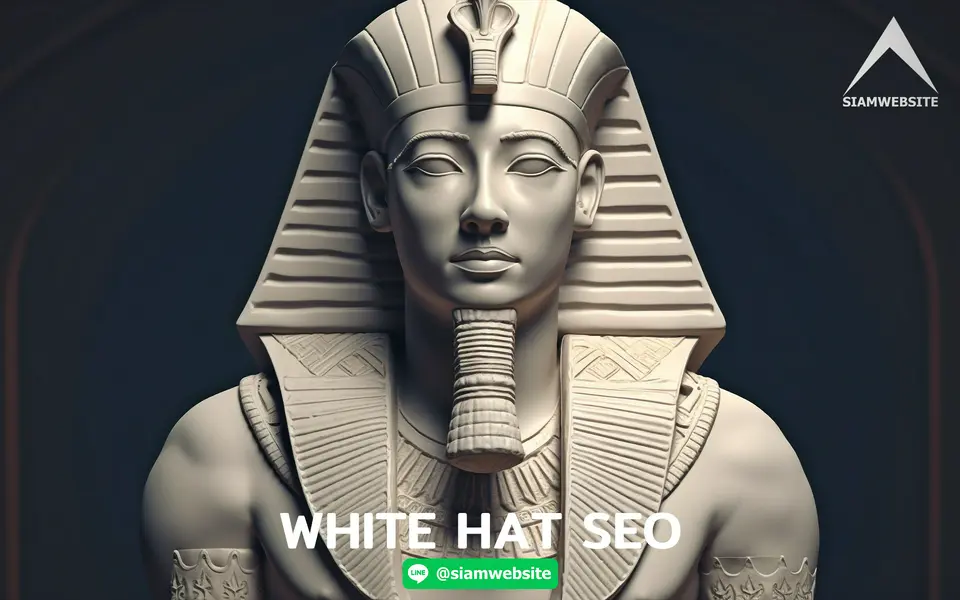 รับทําเว็บไซต์ เว็บขยายสายงาน White Hat SEO | TTT-WEBSITE 